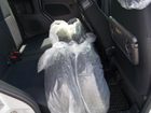 車両画像20
