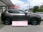 車両画像5