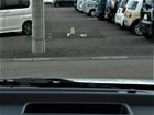 車両画像7
